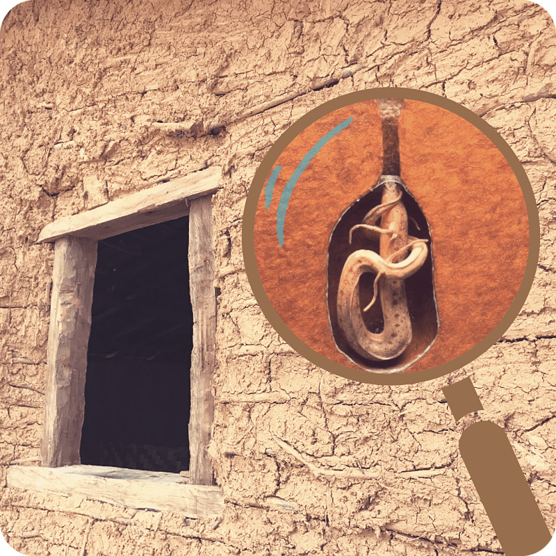 Pesci che escono dai&nbsp;muri!